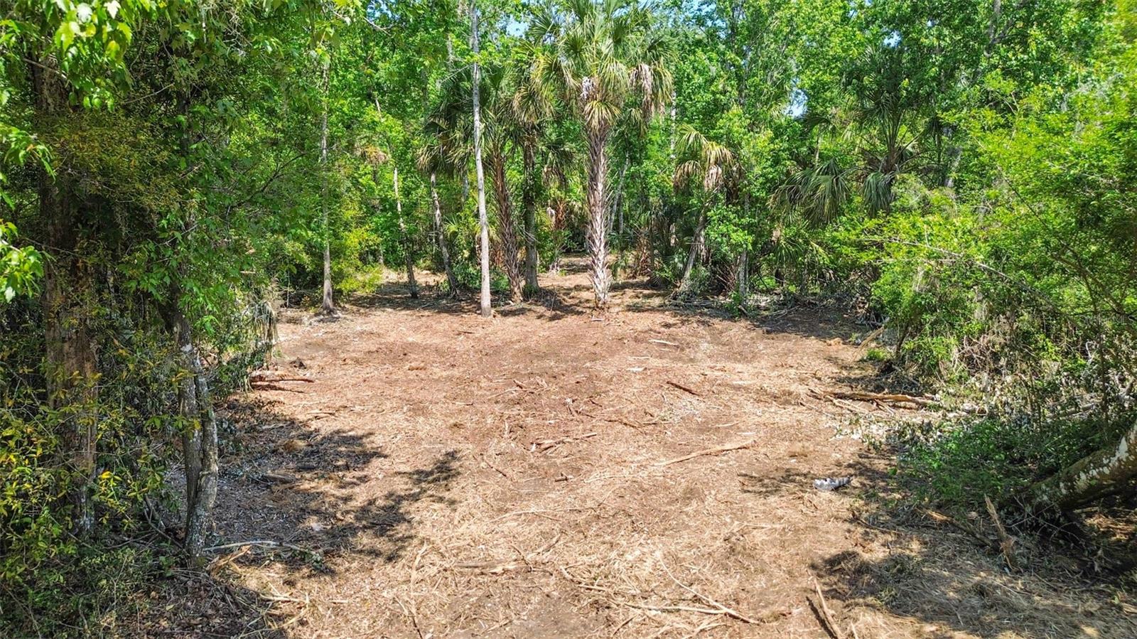 0 MUDDY WATER TRL, THONOTOSASSA, FL, 33592
