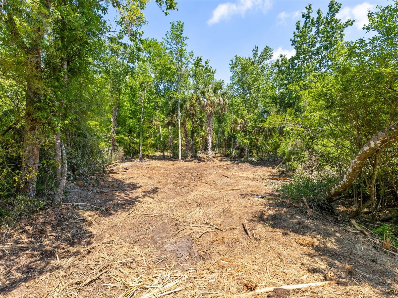 0 MUDDY WATER TRL, THONOTOSASSA, FL, 33592