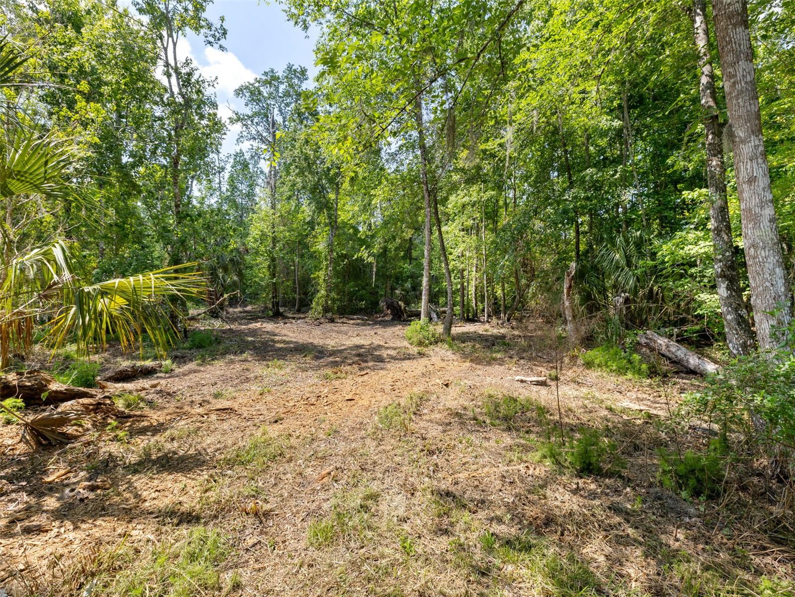 0 MUDDY WATER TRL, THONOTOSASSA, FL, 33592