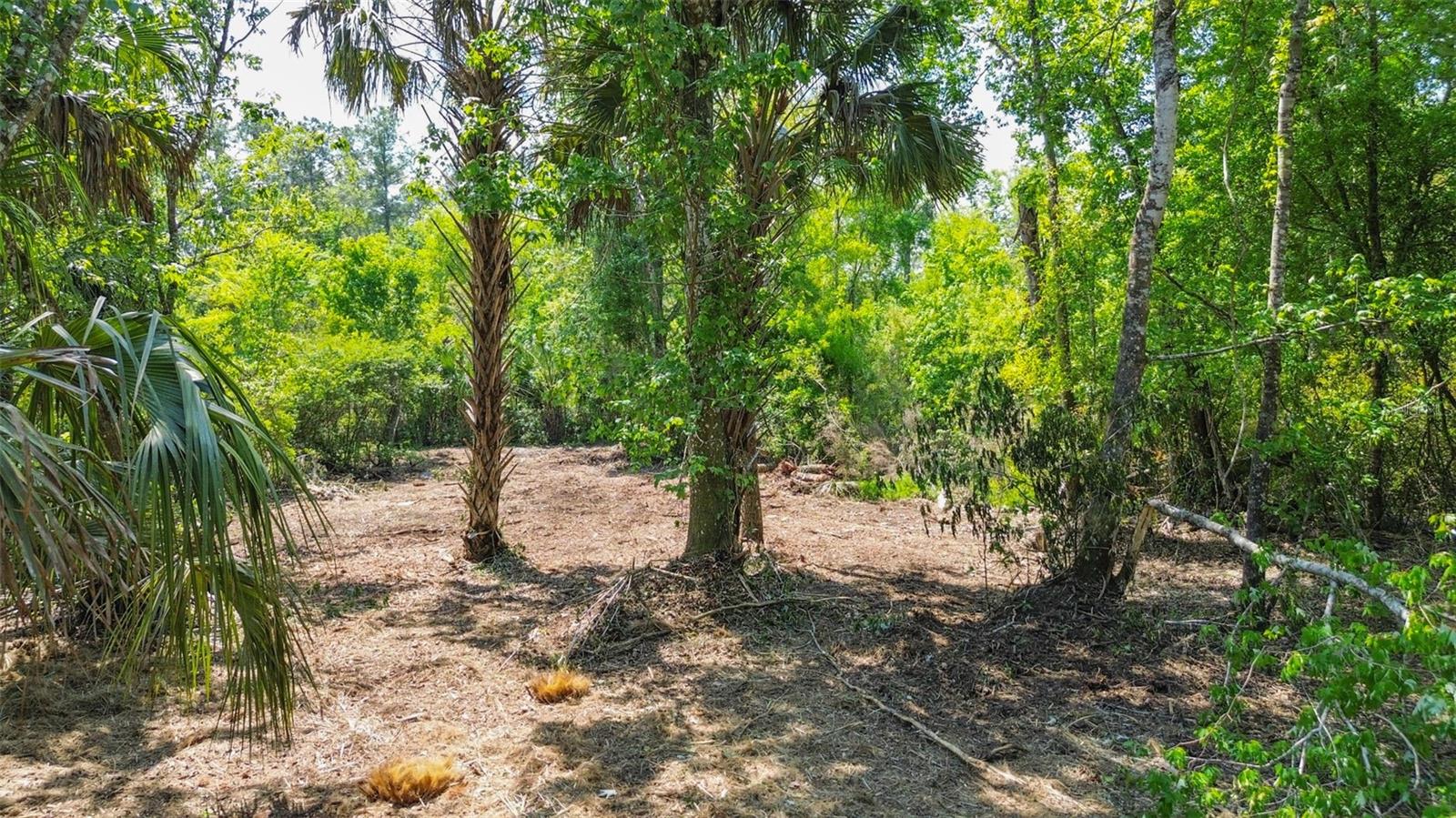0 MUDDY WATER TRL, THONOTOSASSA, FL, 33592