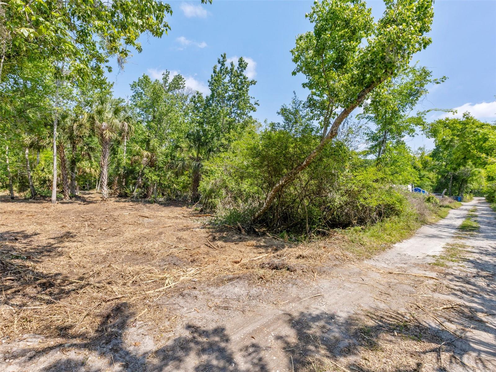 0 MUDDY WATER TRL, THONOTOSASSA, FL, 33592