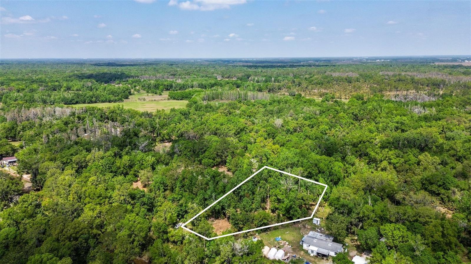 0 MUDDY WATER TRL, THONOTOSASSA, FL, 33592