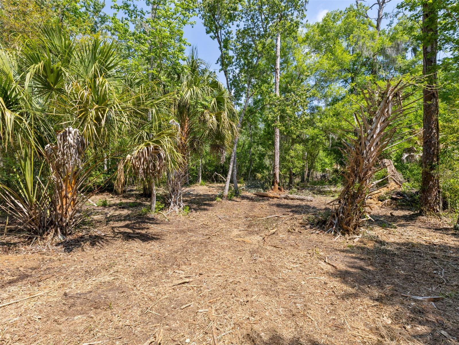 0 MUDDY WATER TRL, THONOTOSASSA, FL, 33592