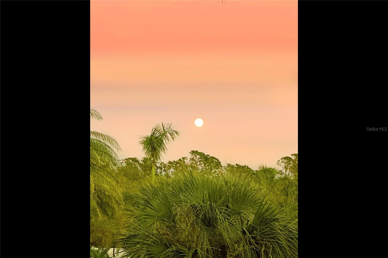 431 KETTLE HARBOR DR, PLACIDA, FL, 33946