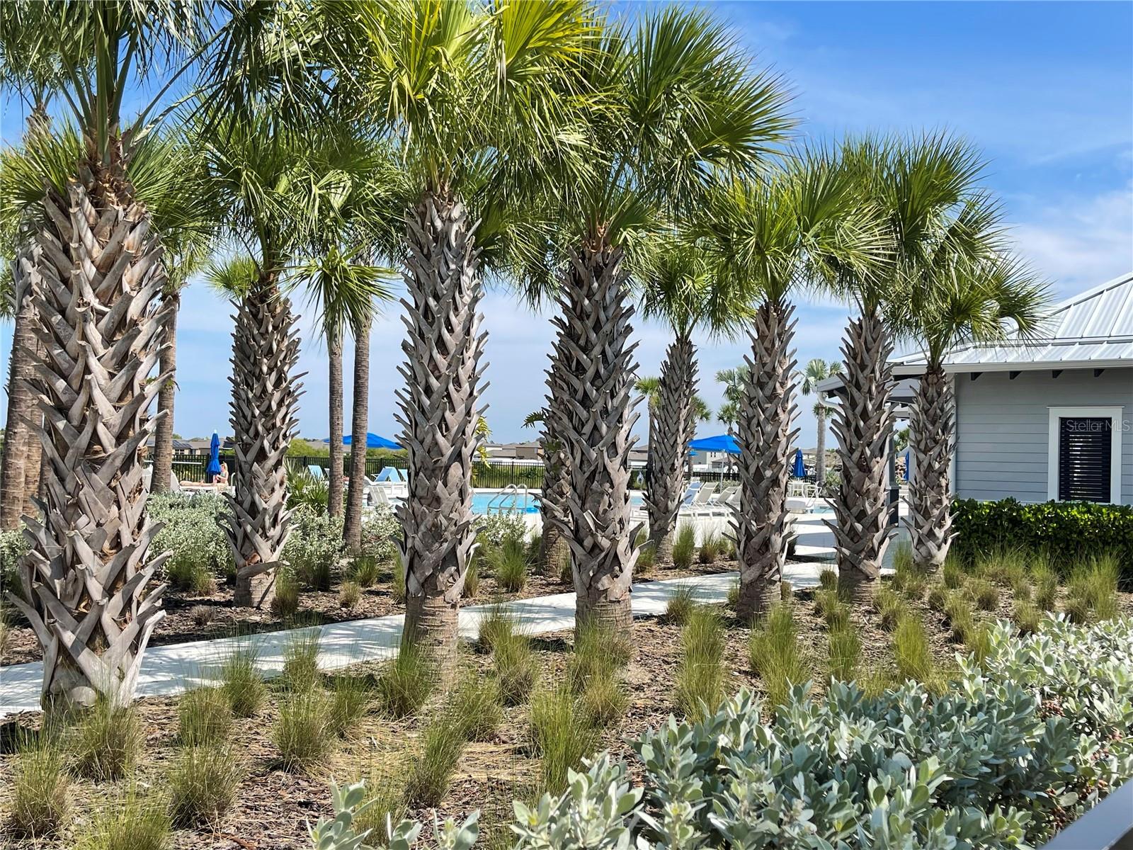 590 SUNLIT CORAL ST, RUSKIN, FL, 33570
