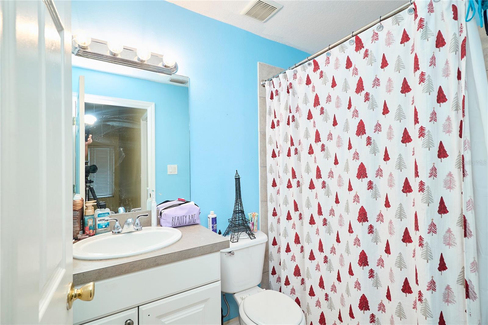 7306 S MASCOTTE ST, TAMPA, FL, 33616