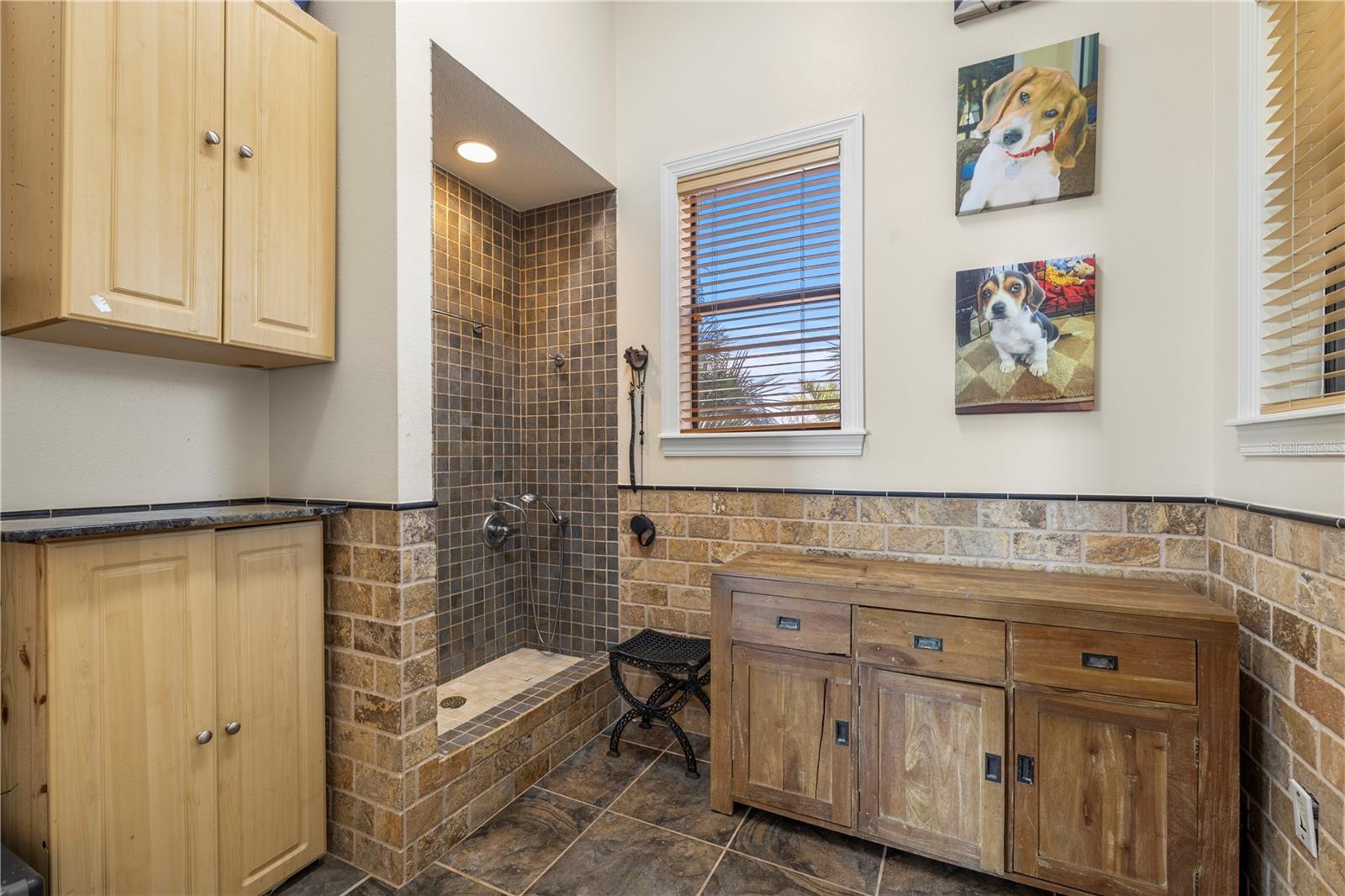 Pet Shower and utility as you head to the garage