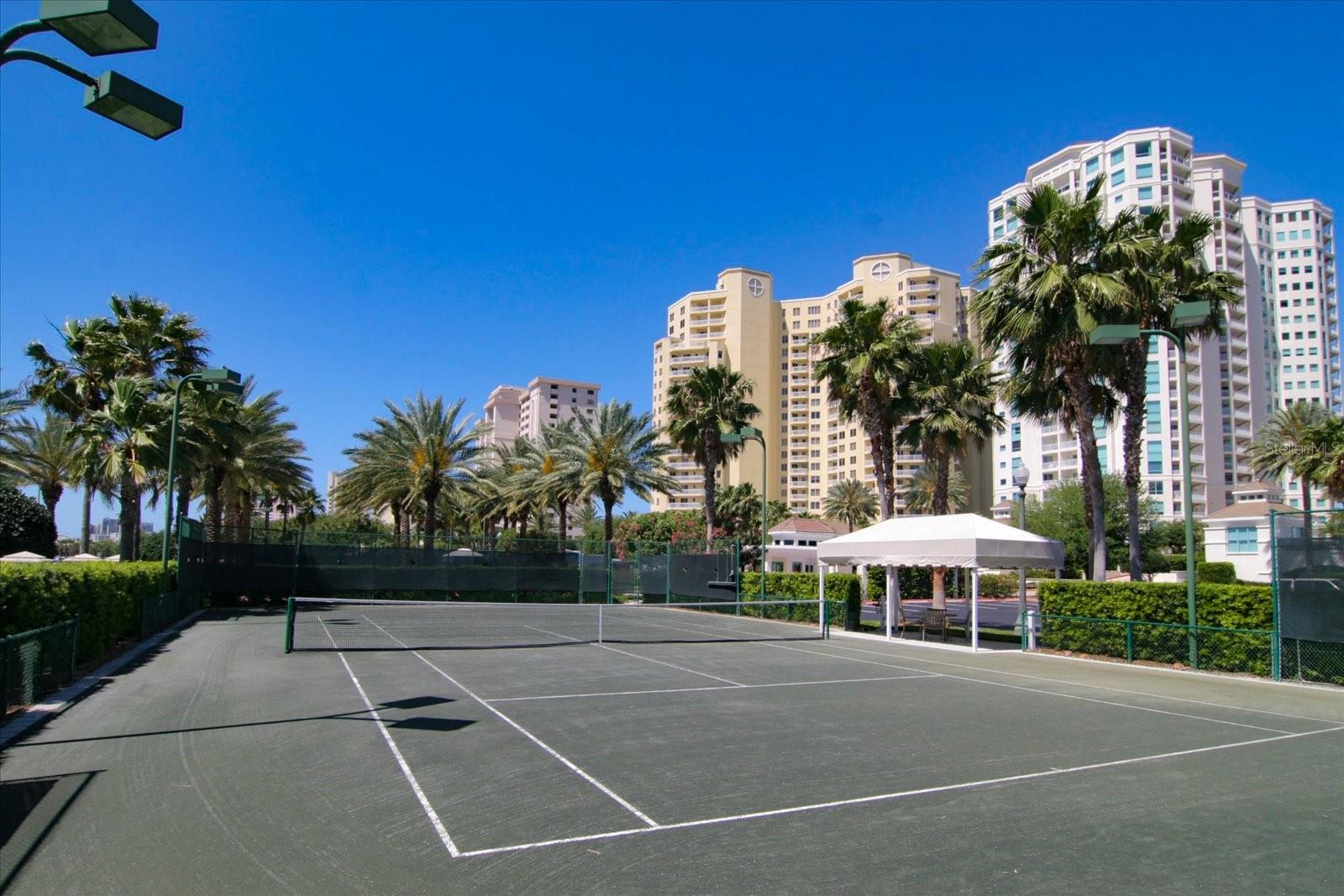 1170 GULF BLVD #1203, CLEARWATER, FL, 33767