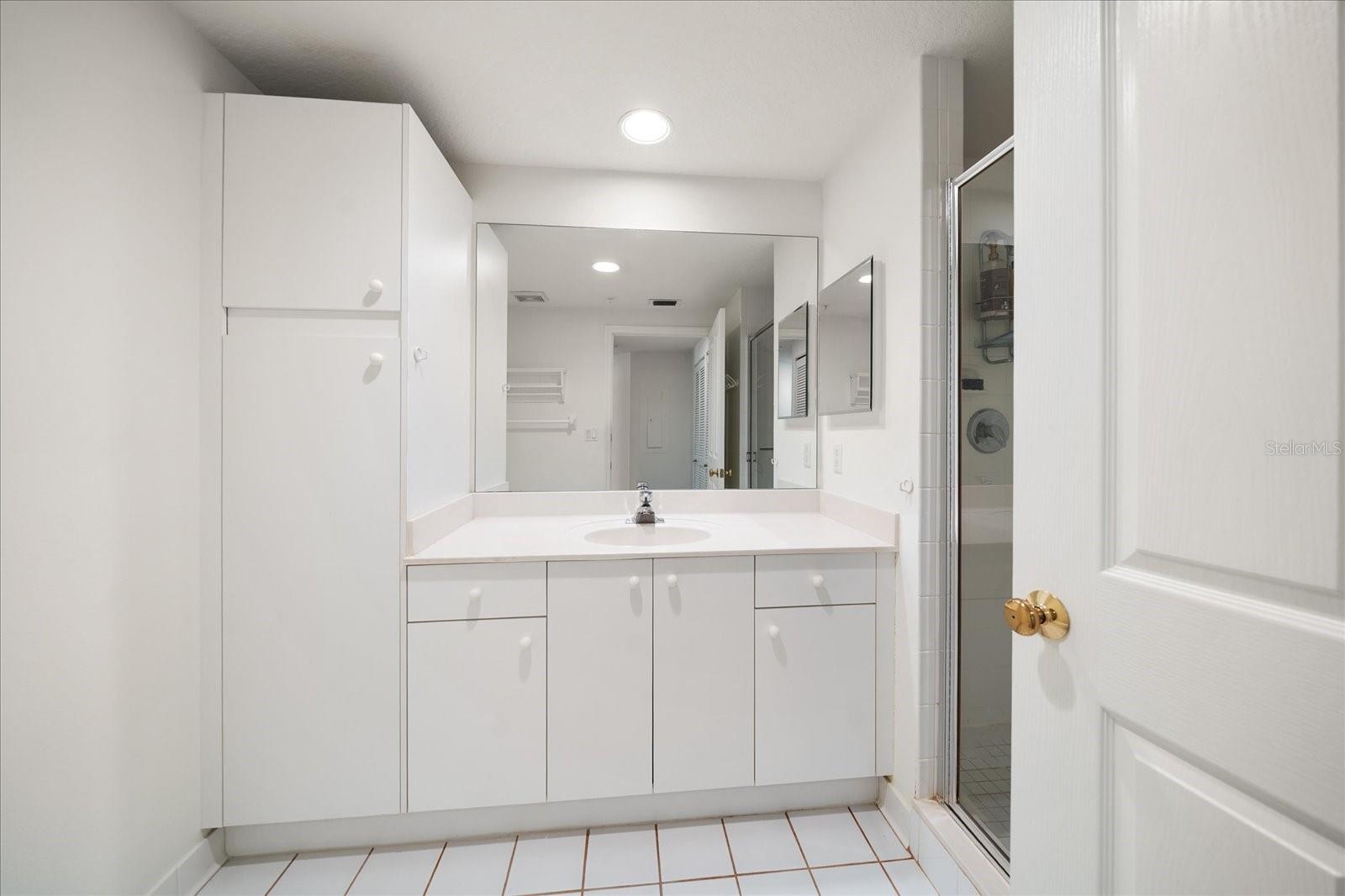 1170 GULF BLVD #1203, CLEARWATER, FL, 33767