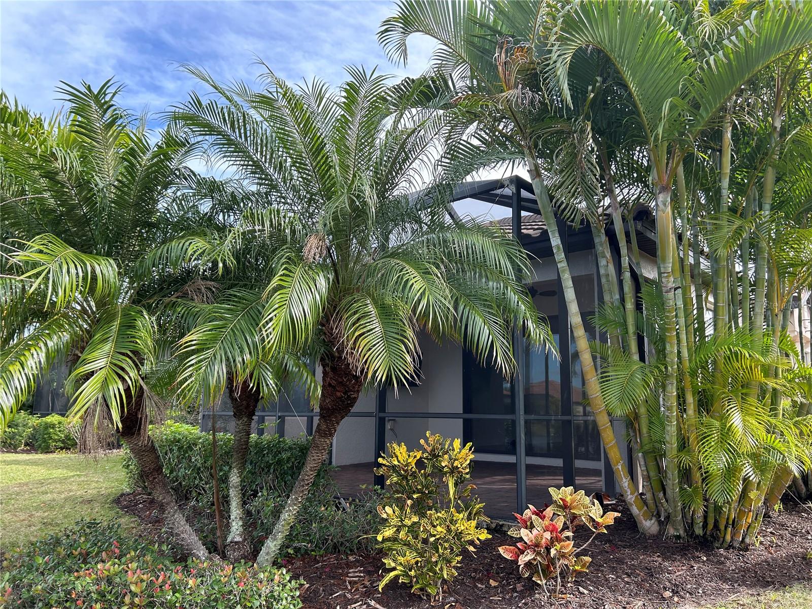 13241 TORRESINA TER, BRADENTON, FL, 34211