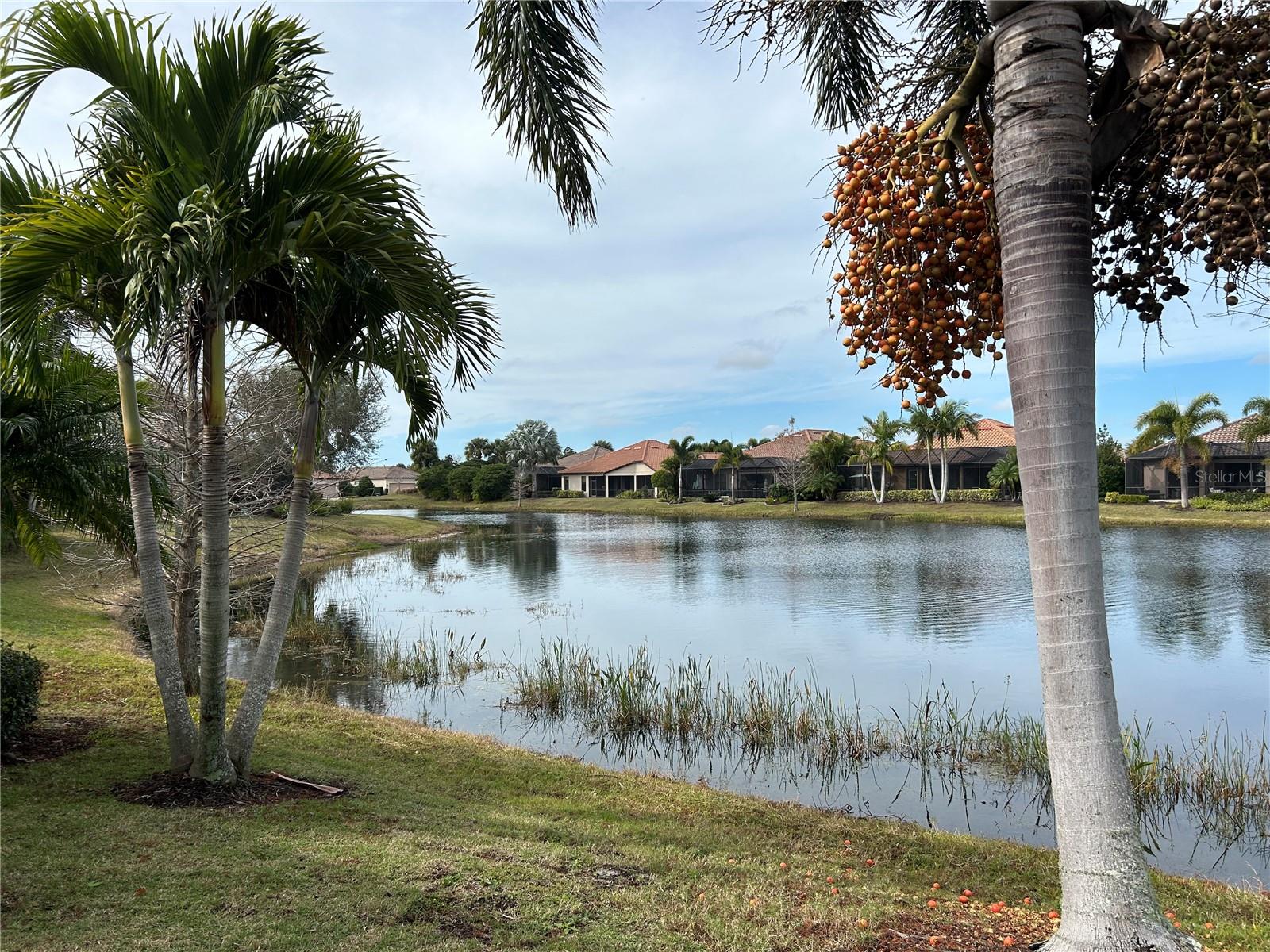 13241 TORRESINA TER, BRADENTON, FL, 34211