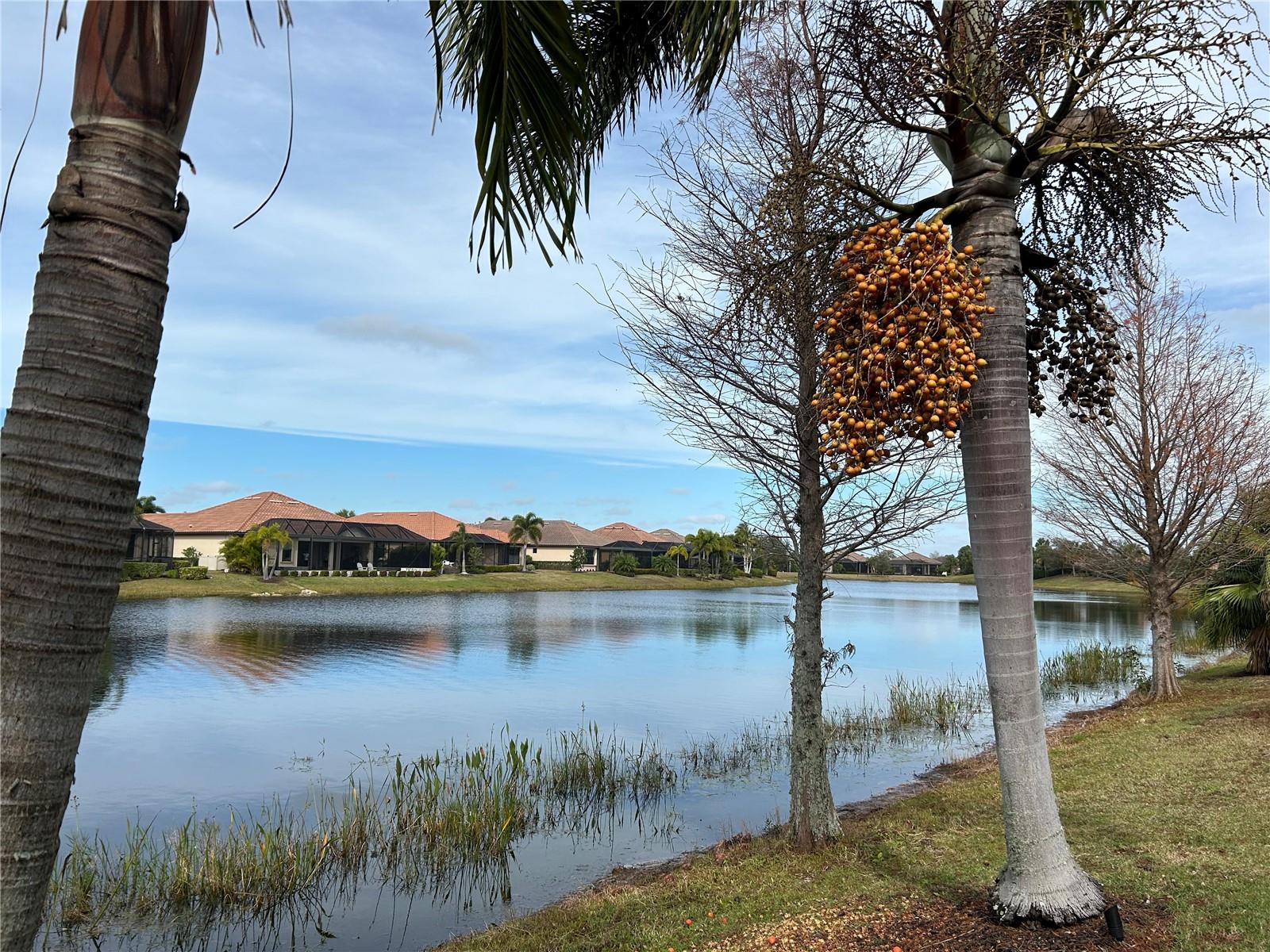 13241 TORRESINA TER, BRADENTON, FL, 34211