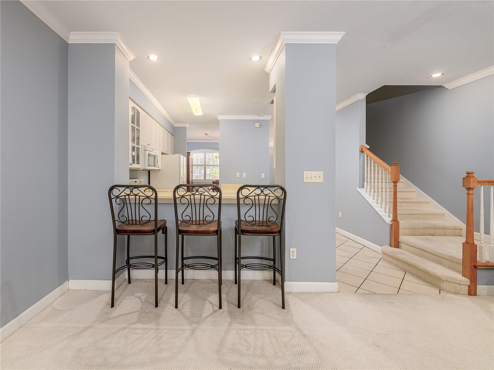 204 S LINCOLN AVE, TAMPA, FL, 33609