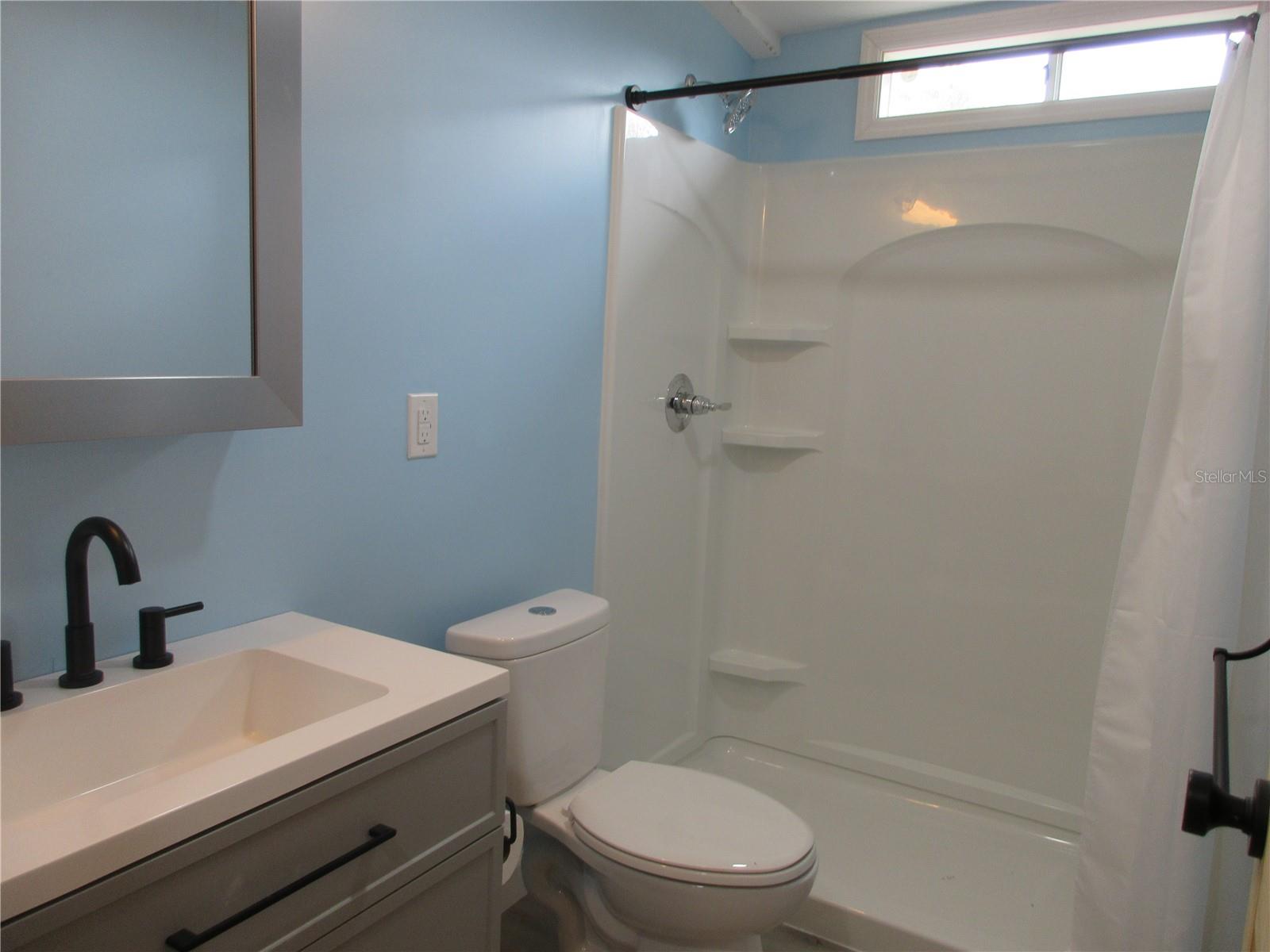 18167 SE 19TH ST, SILVER SPRINGS, FL, 34488