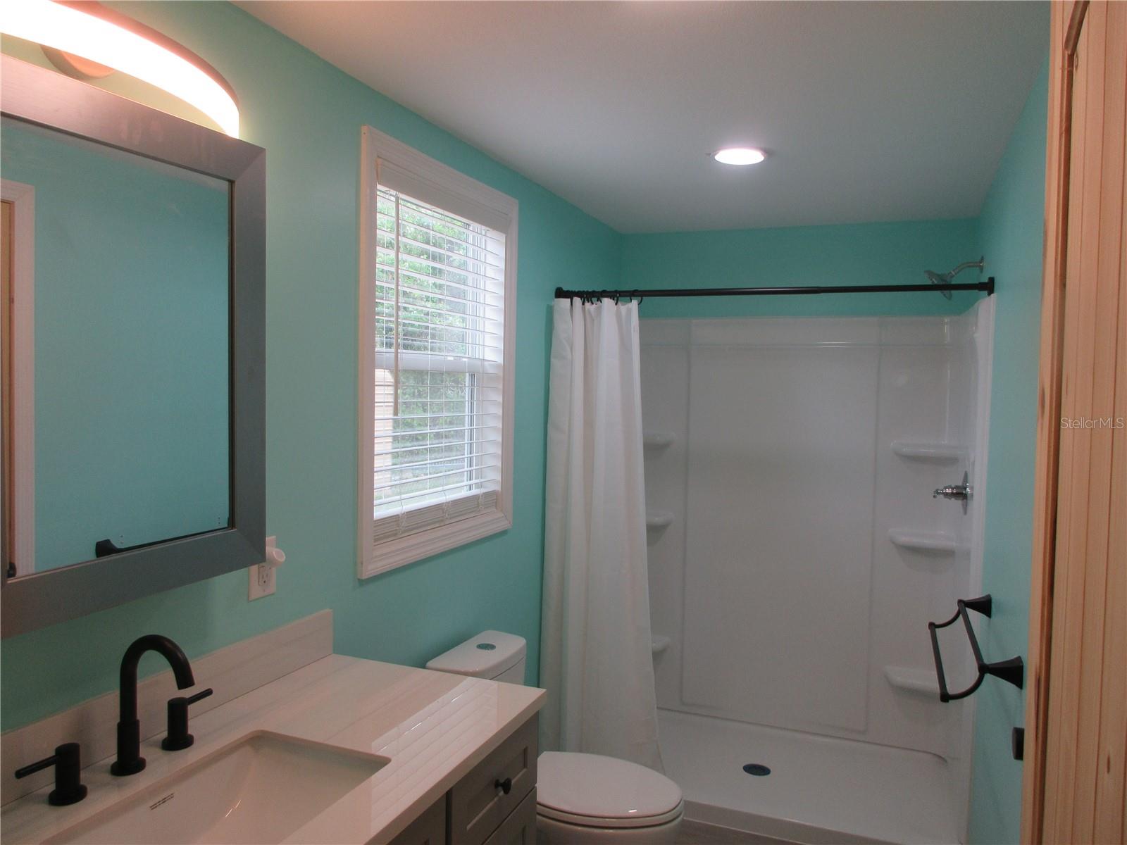 18167 SE 19TH ST, SILVER SPRINGS, FL, 34488