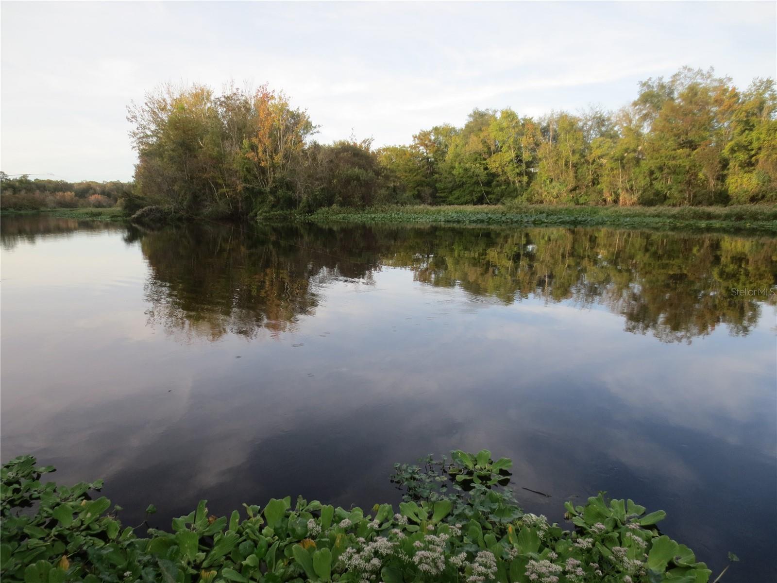 18167 SE 19TH ST, SILVER SPRINGS, FL, 34488