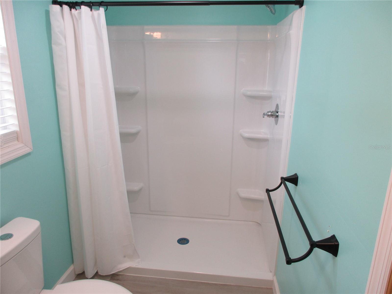 18167 SE 19TH ST, SILVER SPRINGS, FL, 34488