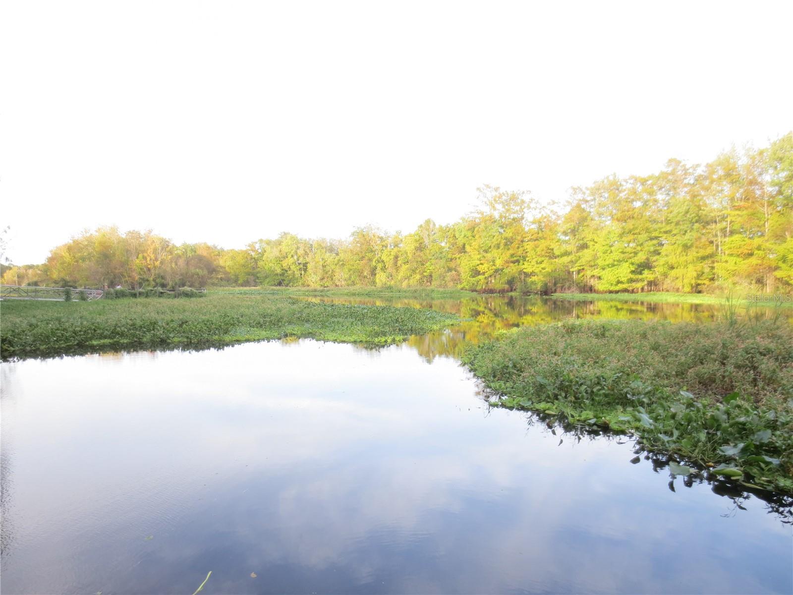 18167 SE 19TH ST, SILVER SPRINGS, FL, 34488