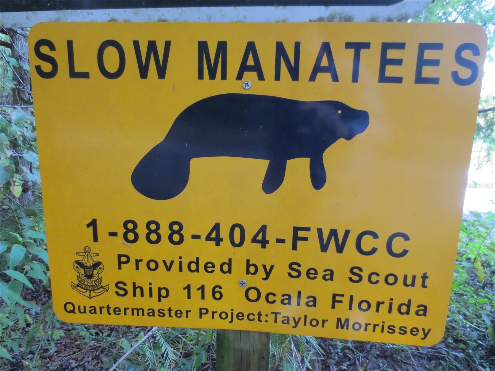18167 SE 19TH ST, SILVER SPRINGS, FL, 34488