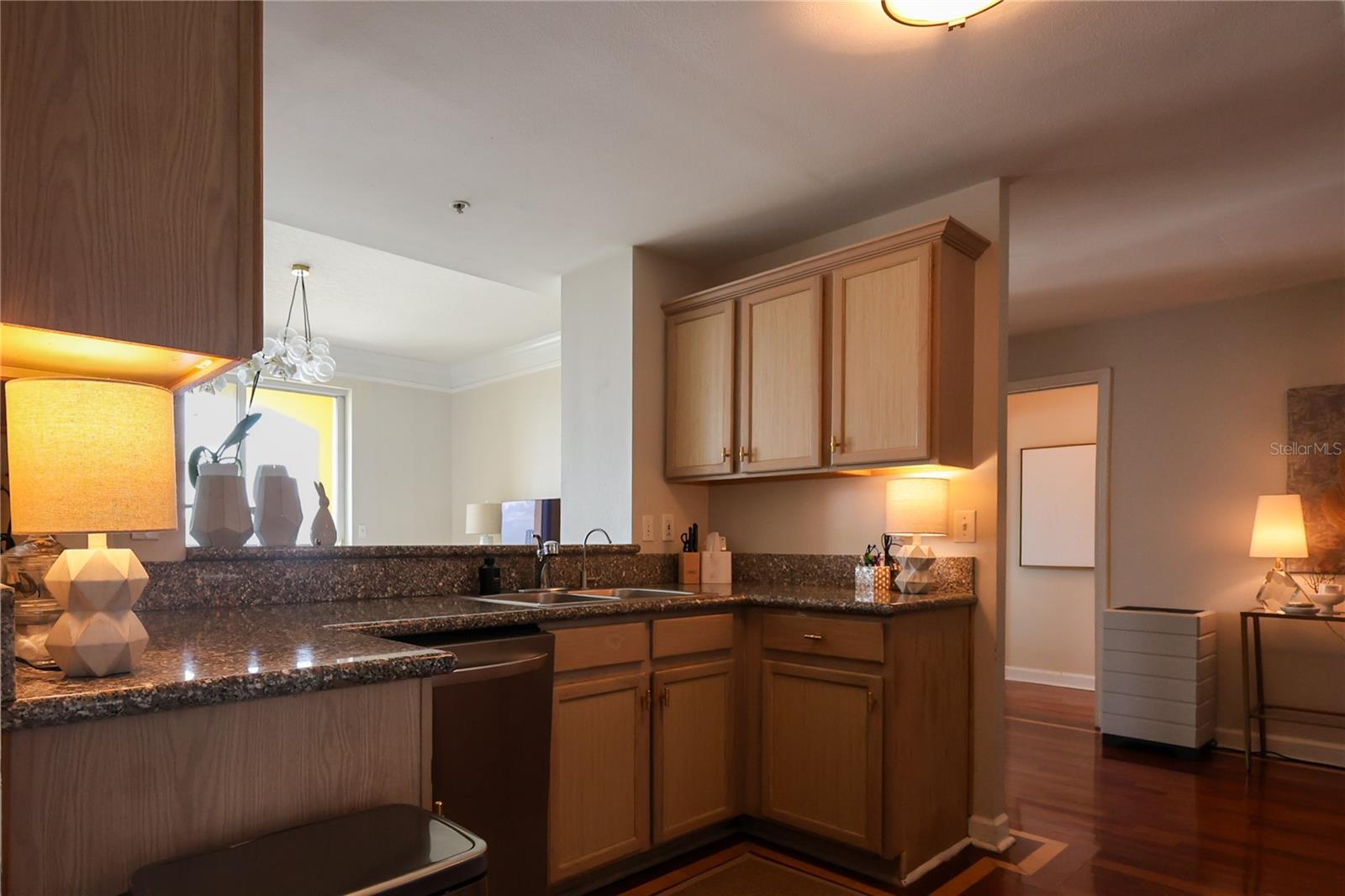 345 BAYSHORE BLVD #1708, TAMPA, FL, 33606