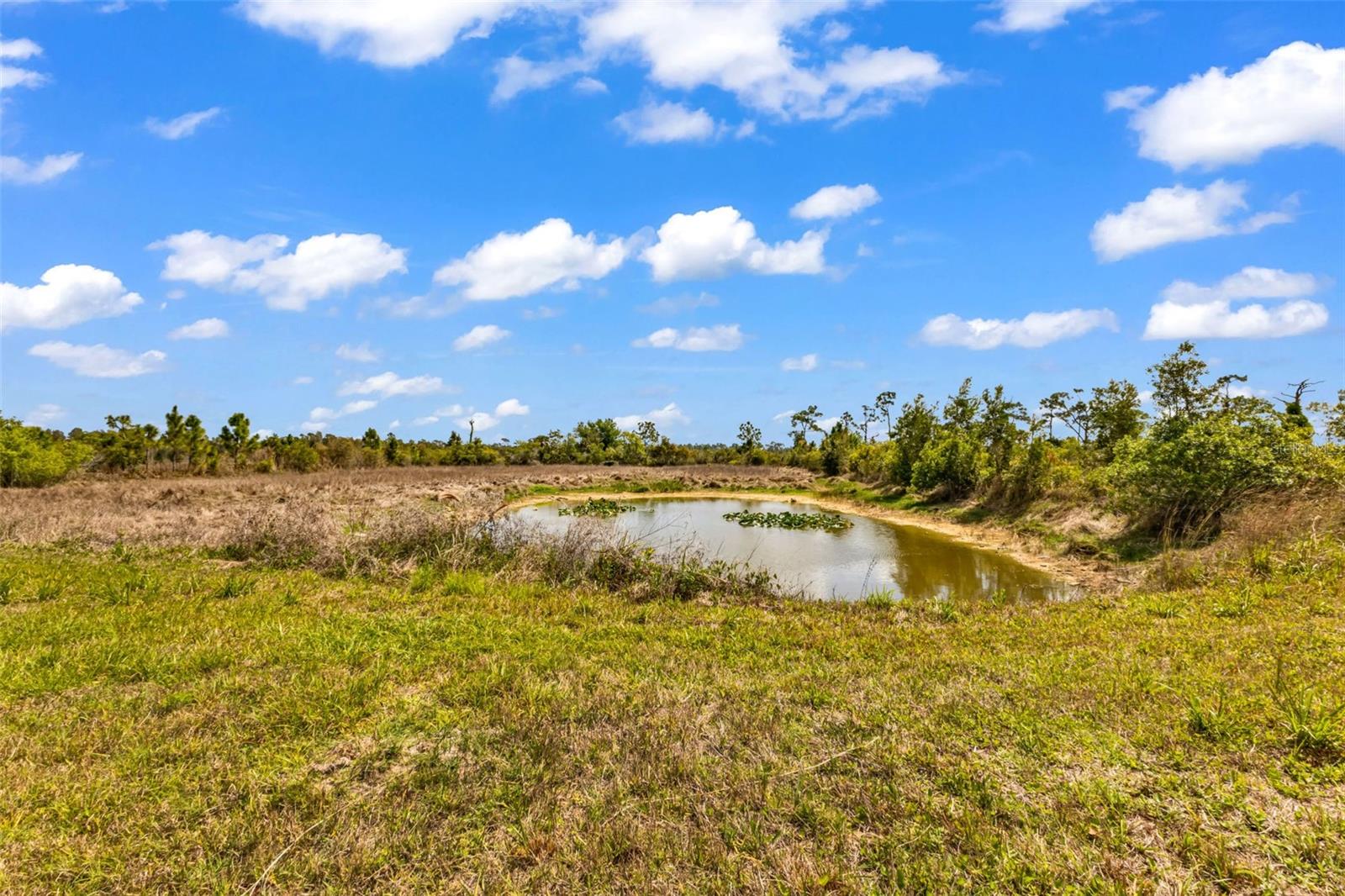 32634 OIL WELL RD, PUNTA GORDA, FL, 33955