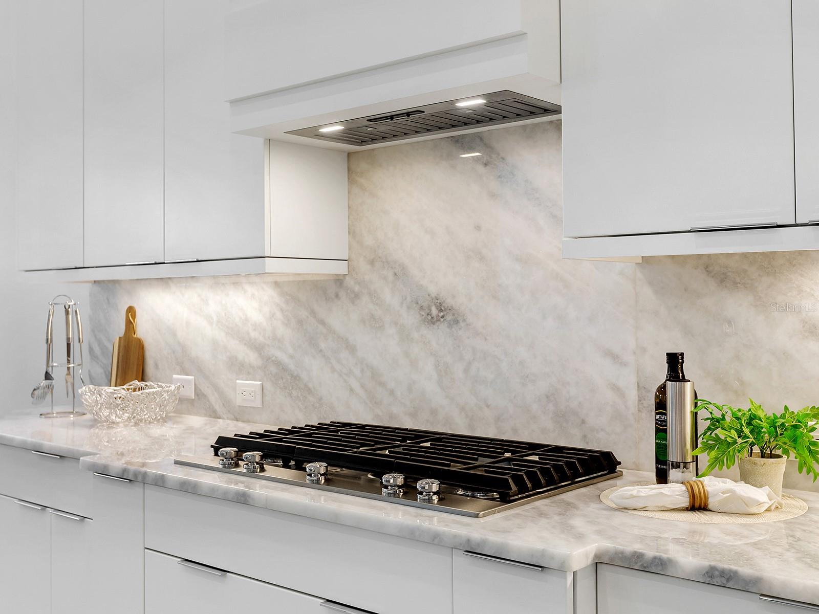 16903 VERONA PL, LAKEWOOD RANCH, FL, 34202