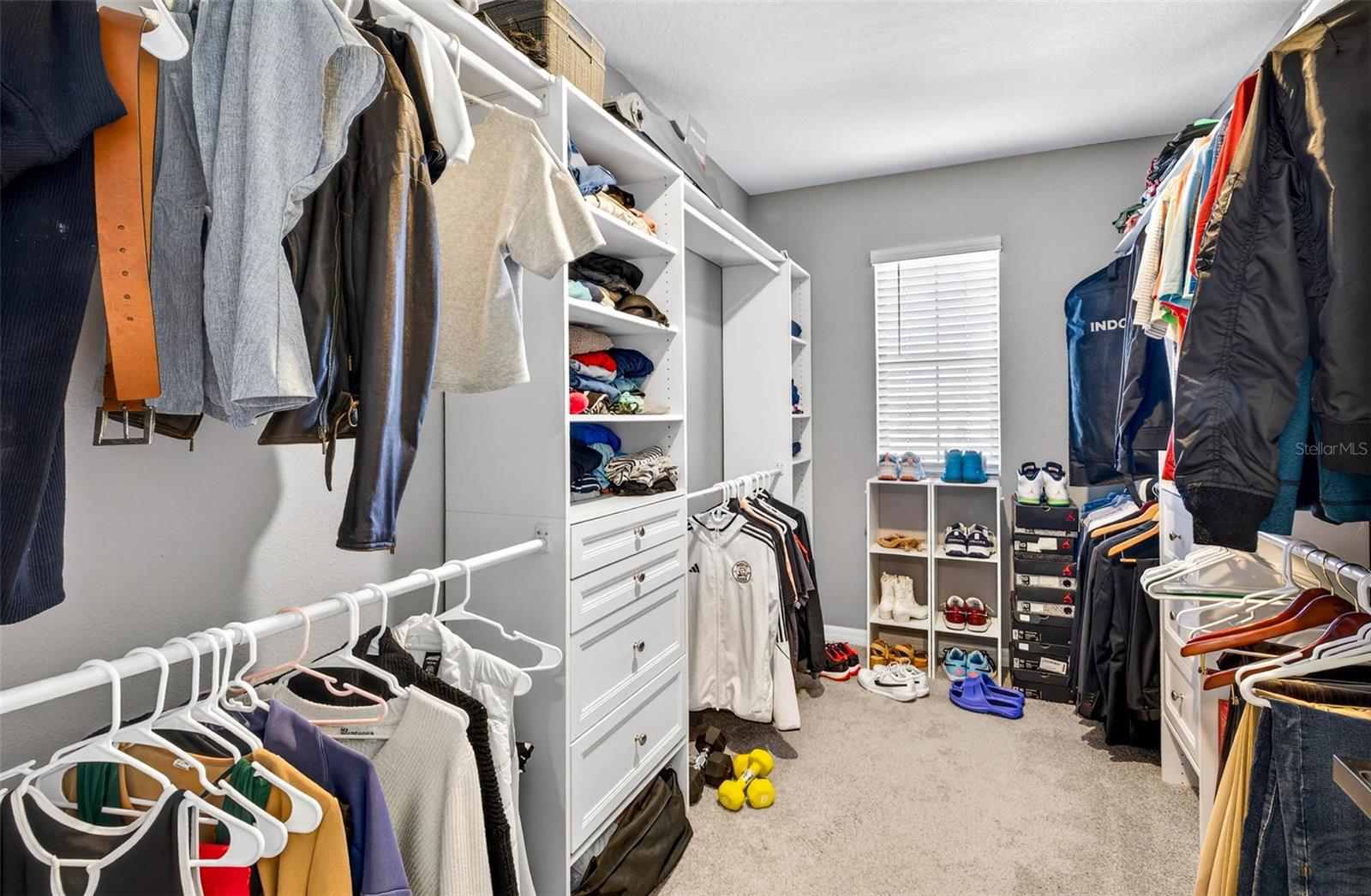 33608 BARBERRY LEAF WAY, WESLEY CHAPEL, FL, 33543