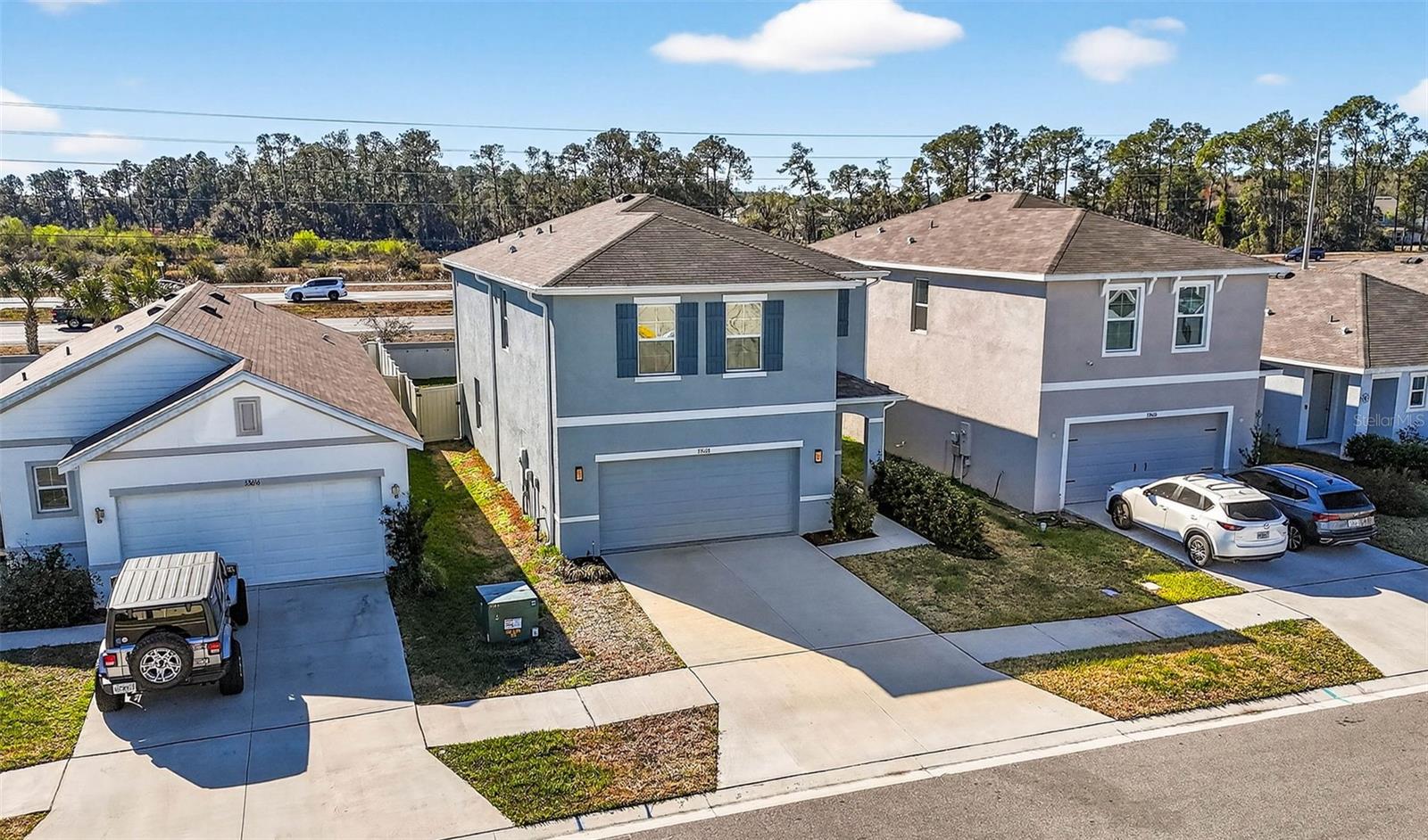 33608 BARBERRY LEAF WAY, WESLEY CHAPEL, FL, 33543