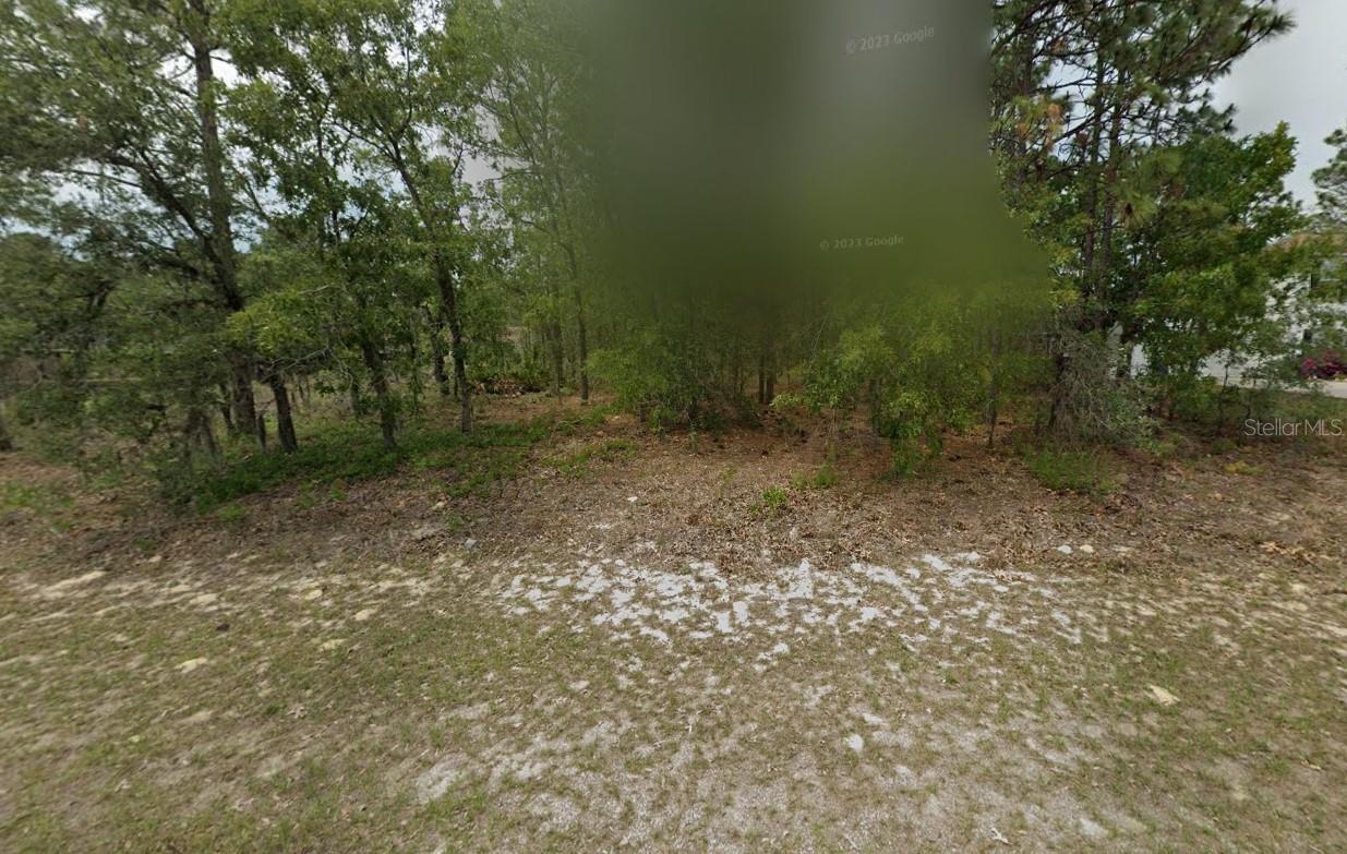 2065 W TACOMA DR, CITRUS SPRINGS, FL, 34434