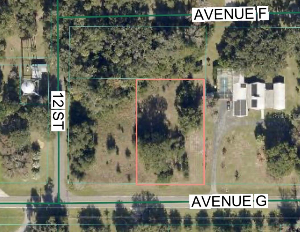 AVENUE G, MC INTOSH, FL, 32664