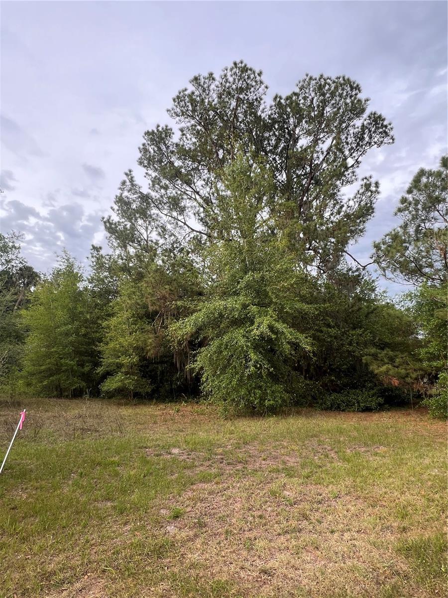 AVENUE G, MC INTOSH, FL, 32664