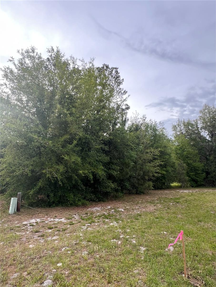 AVENUE G, MC INTOSH, FL, 32664