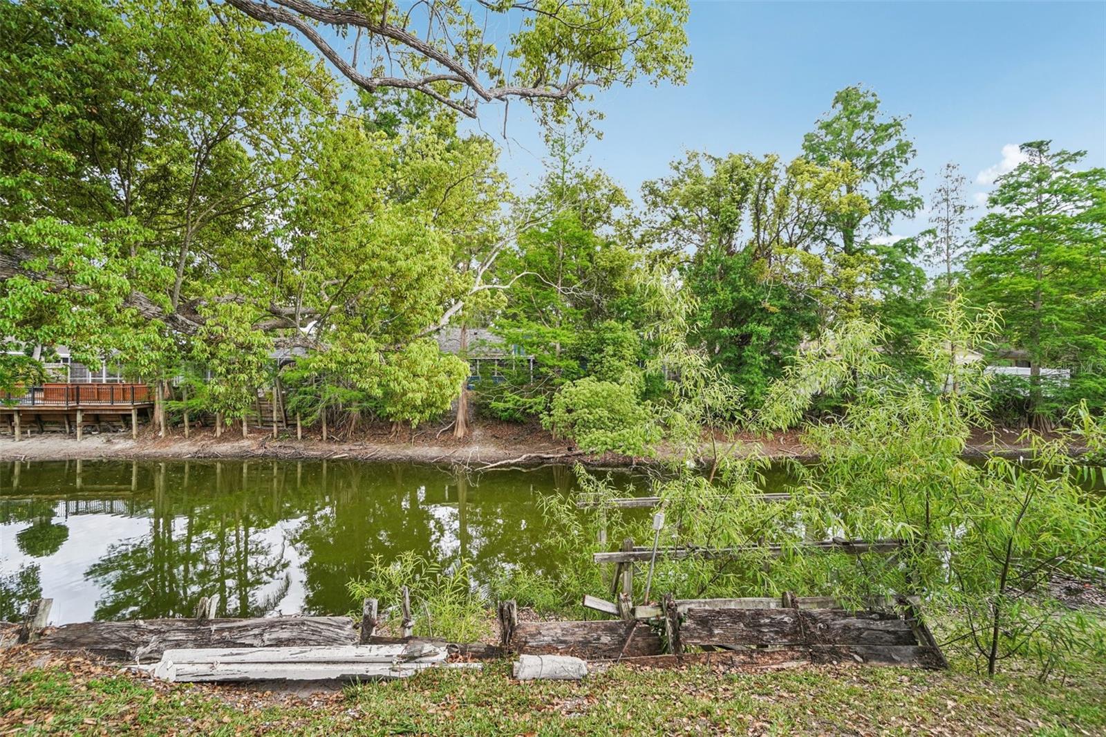 17803 SUNRISE DR, LUTZ, FL, 33549