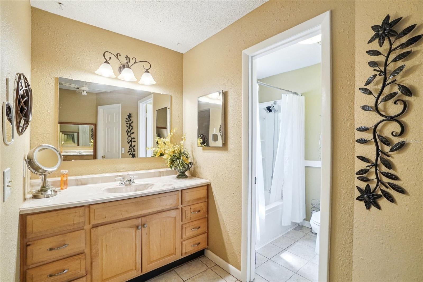 17803 SUNRISE DR, LUTZ, FL, 33549