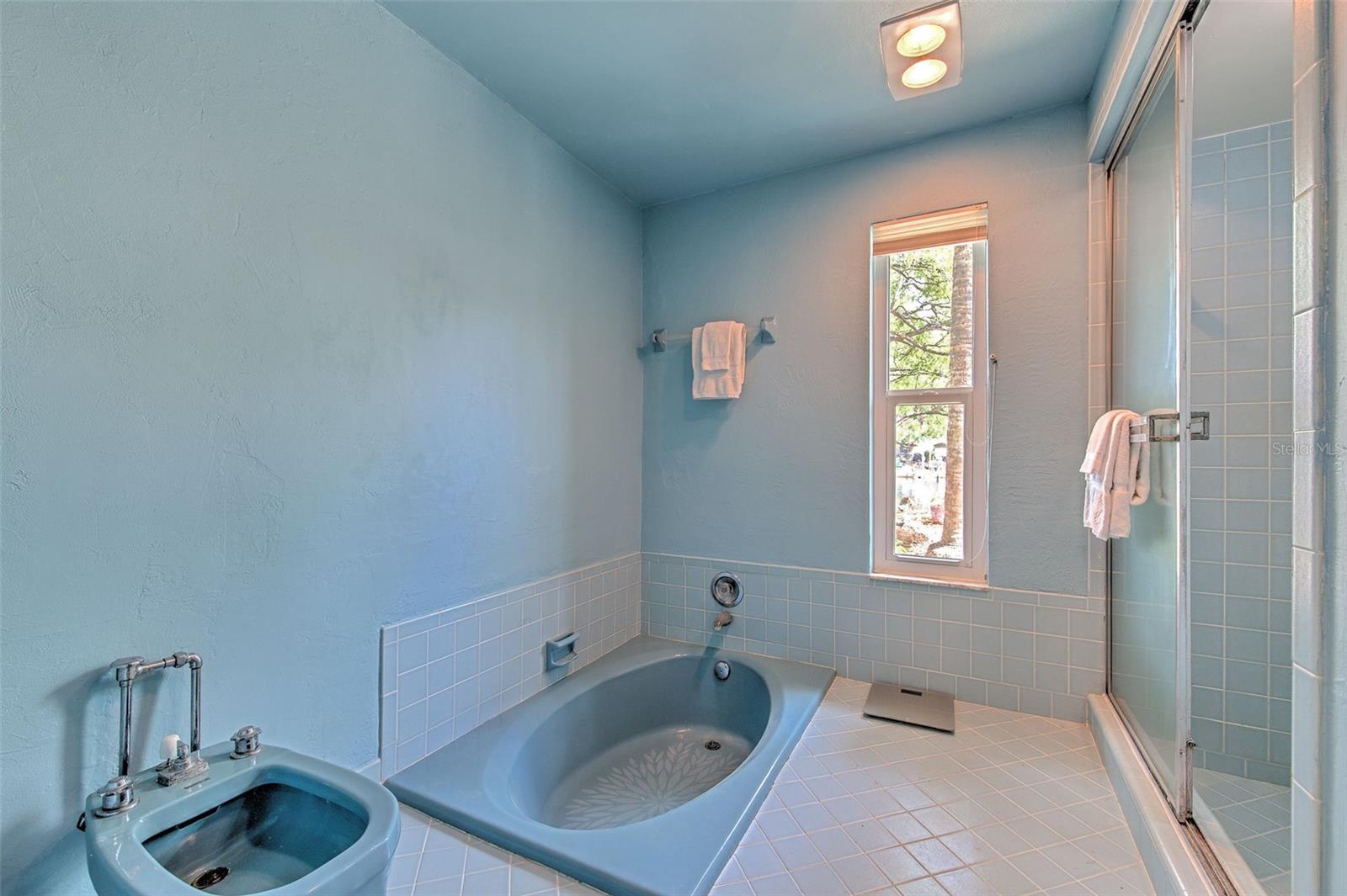 Master Bath with Sunk-in soaking tub, separate shower, bidet and commode