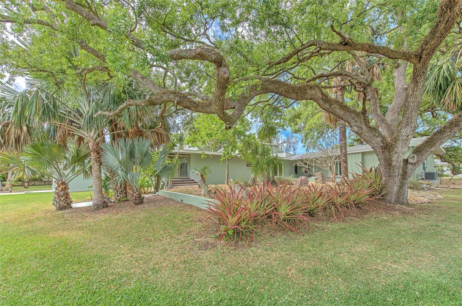 Backyard views of home & rock garden
