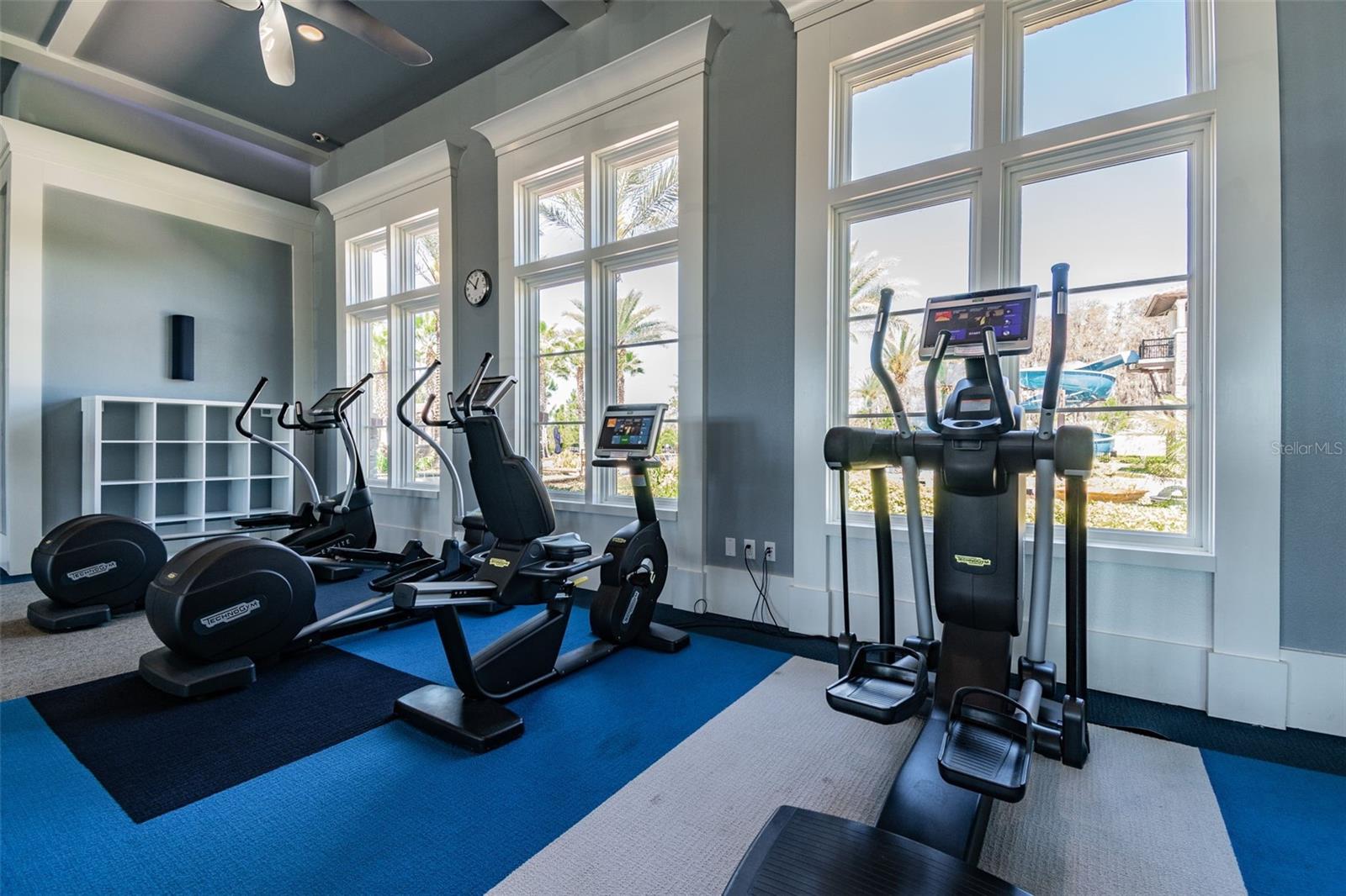 4565 ANCONA WAY, WESLEY CHAPEL, FL, 33543