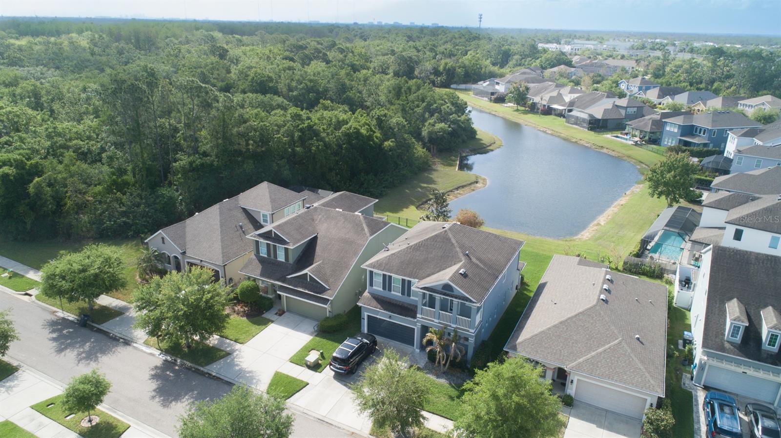 11604 QUIET FOREST DR, TAMPA, FL, 33635