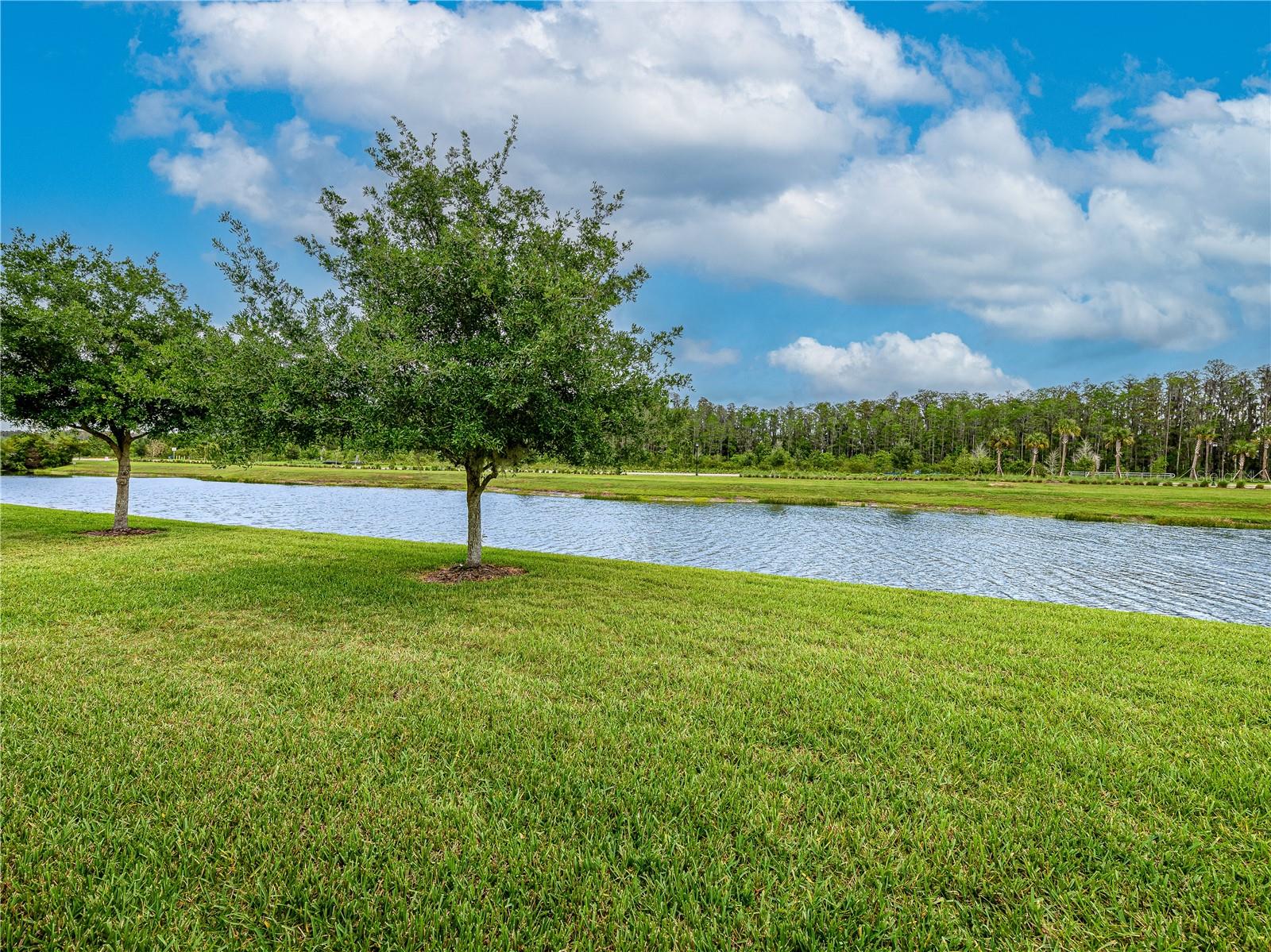 4521 BARLETTA CT, WESLEY CHAPEL, FL, 33543