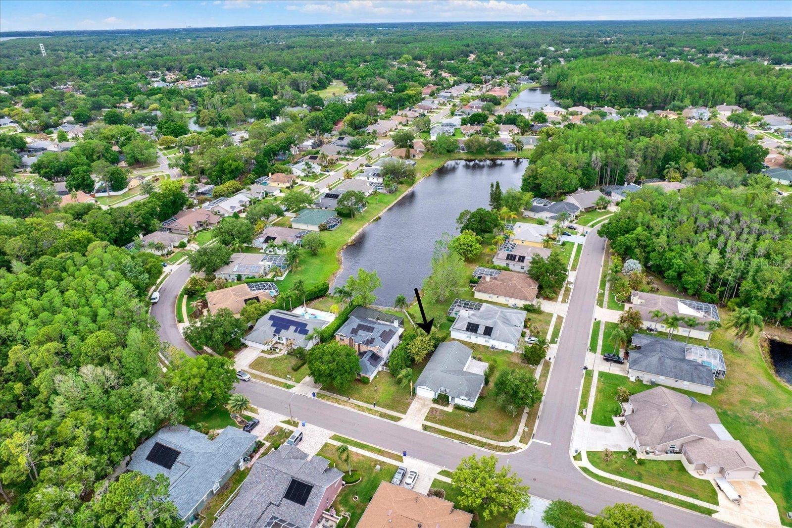 Quiet setting near preserves, golf courses, Lake Tarpon, & gulf beaches.