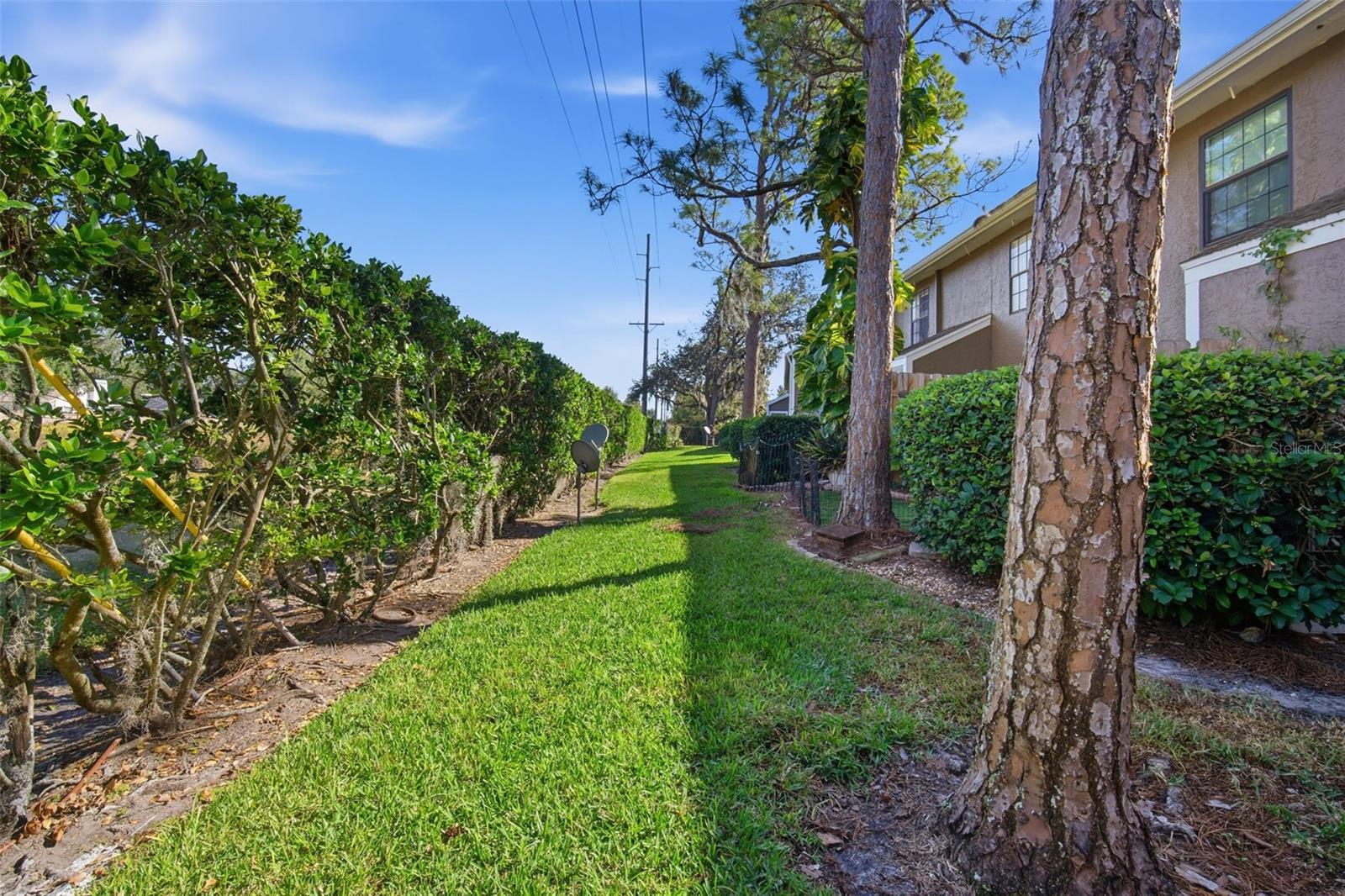 16545 LAKE BRIGADOON CIR, TAMPA, FL, 33618