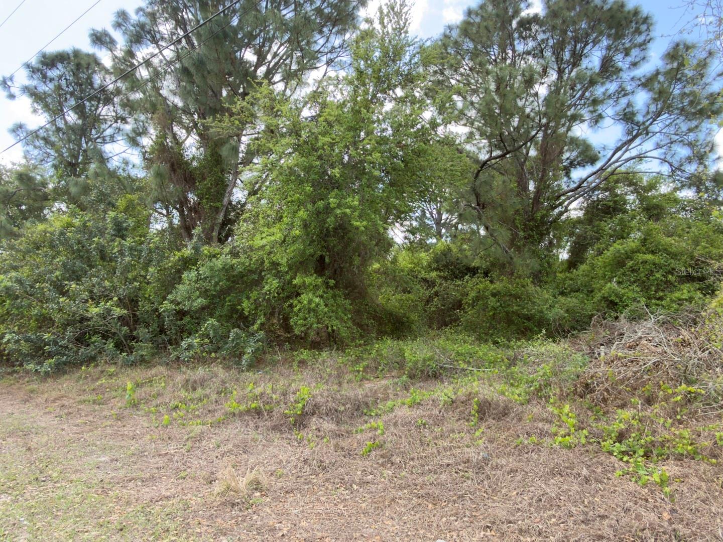 4529 28TH ST SW, LEHIGH ACRES, FL, 33973