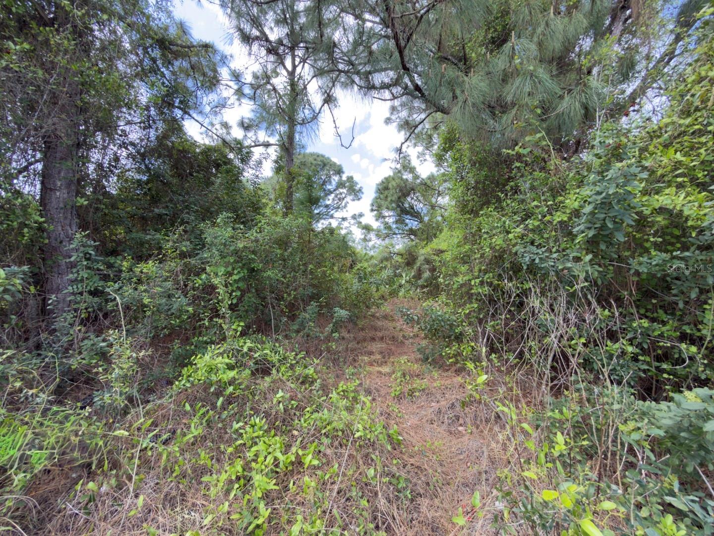 4529 28TH ST SW, LEHIGH ACRES, FL, 33973