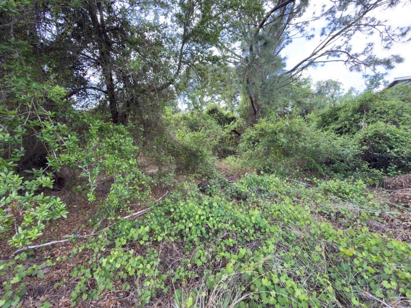 4529 28TH ST SW, LEHIGH ACRES, FL, 33973