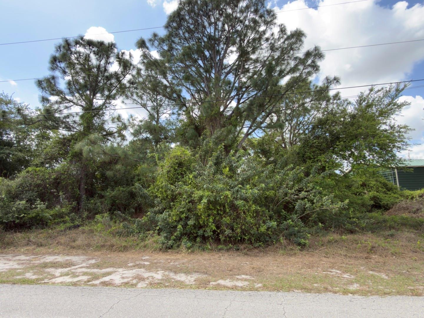 4529 28TH ST SW, LEHIGH ACRES, FL, 33973