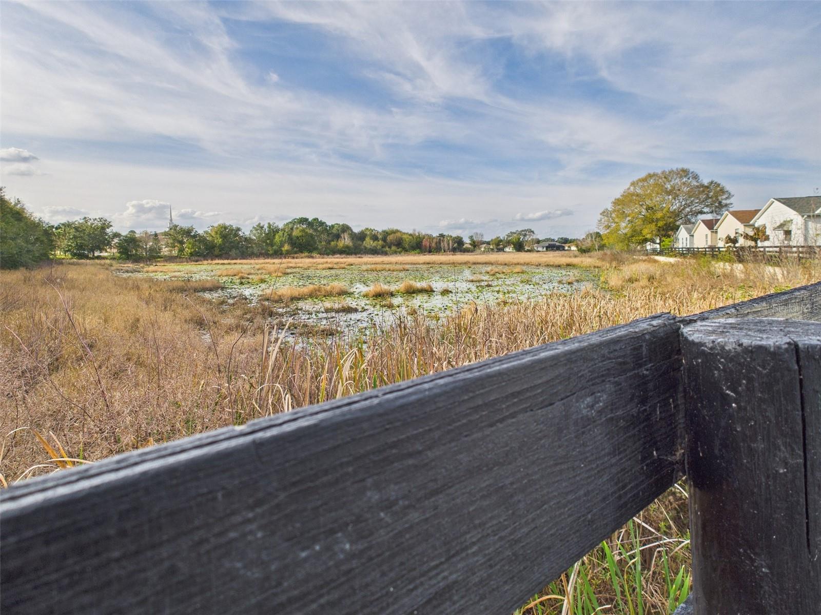 1546 LOZANO AVE, THE VILLAGES, FL, 32159