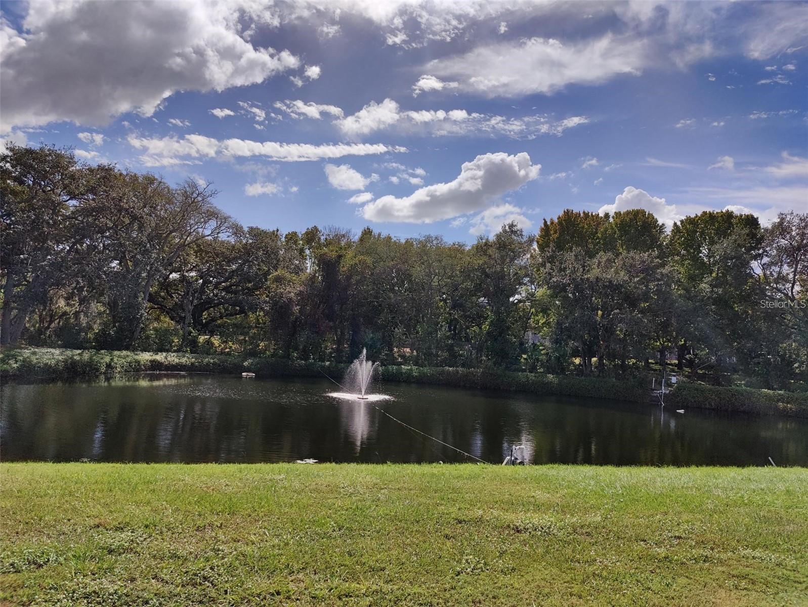 1600 N OLD COACHMAN RD #716, CLEARWATER, FL, 33765