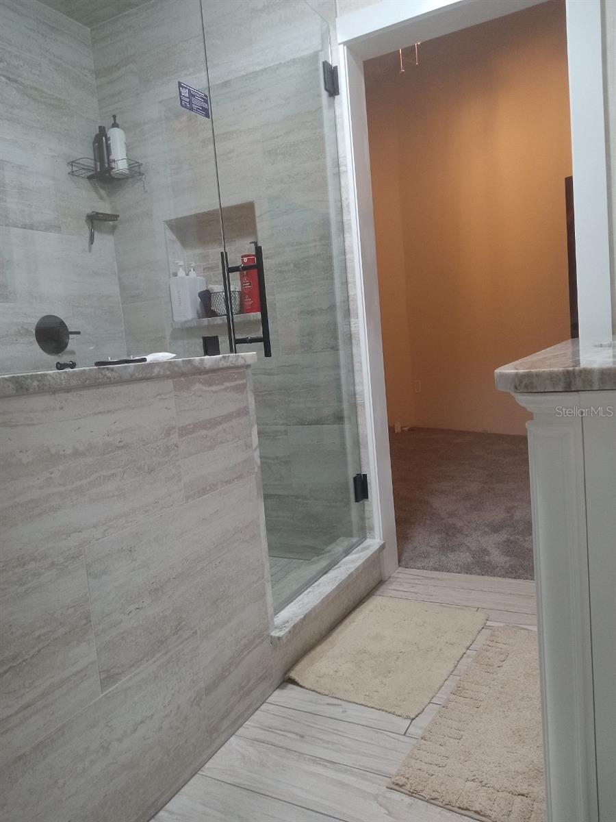 10424 LYONS AVE, LITHIA, FL, 33547