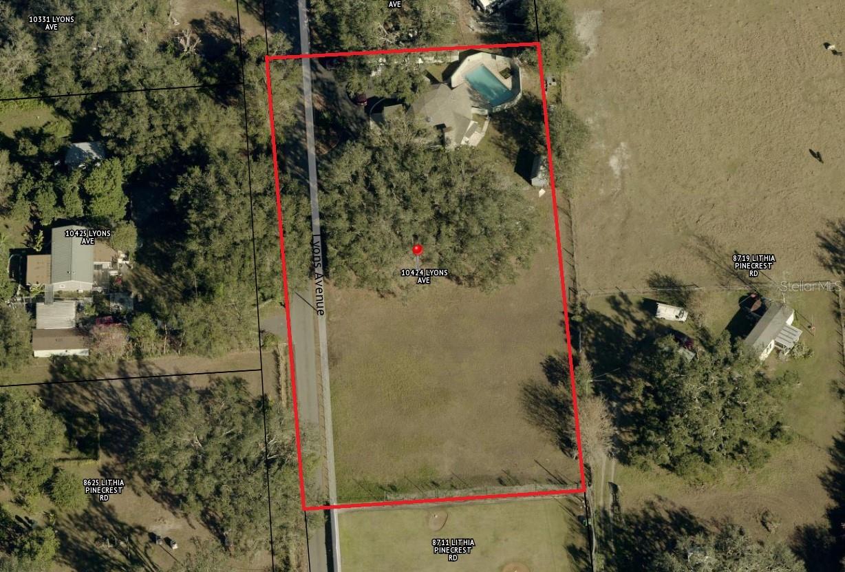 10424 LYONS AVE, LITHIA, FL, 33547