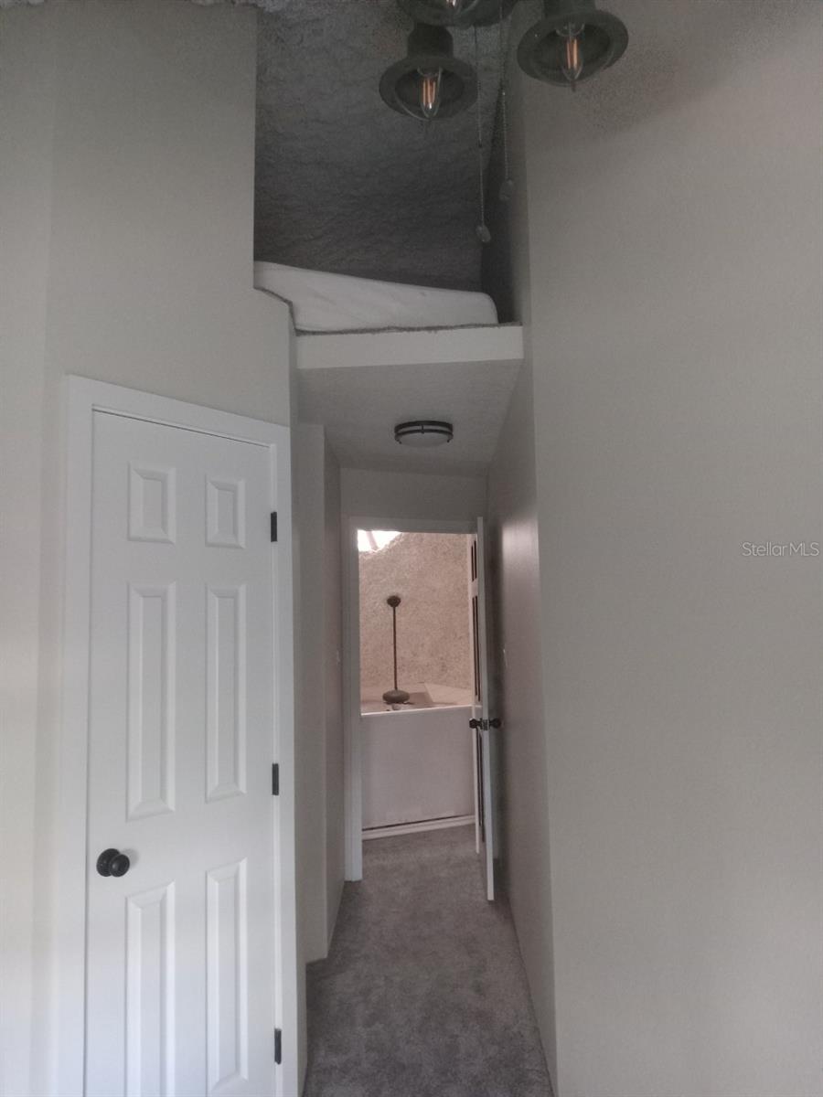 10424 LYONS AVE, LITHIA, FL, 33547